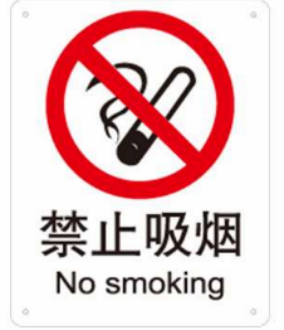 安赛瑞 SAFEWARE S5500B中英文标识 禁止吸烟,250x315mm,乙烯材质
