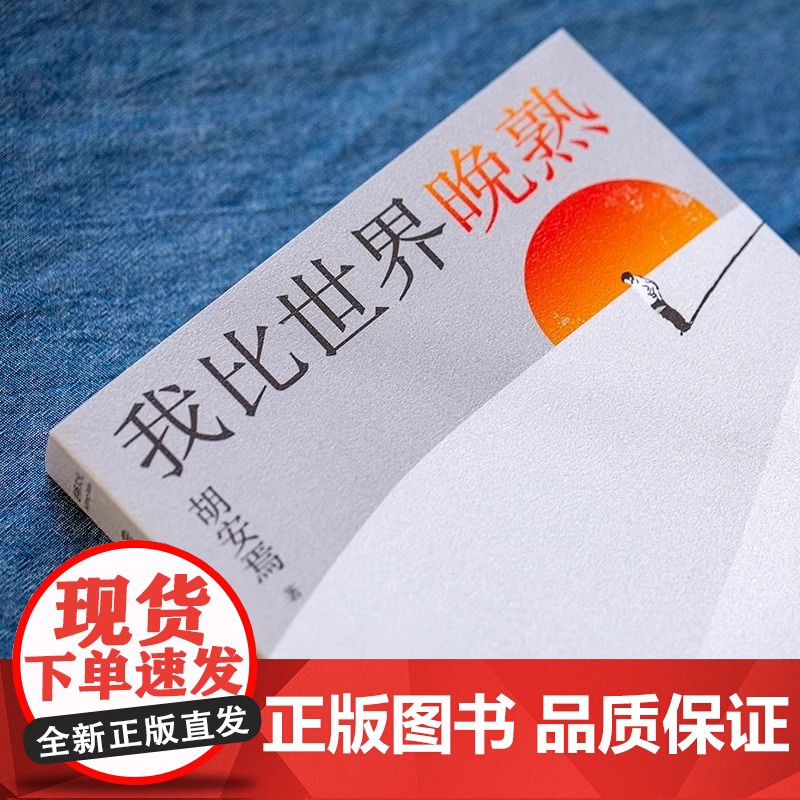 我比世界晚熟 胡安焉继《我在北京送快递》后剖析自我之作 豆瓣2023年度作者 底层打工人的十年 纪实文学 非虚构作品集高清大图