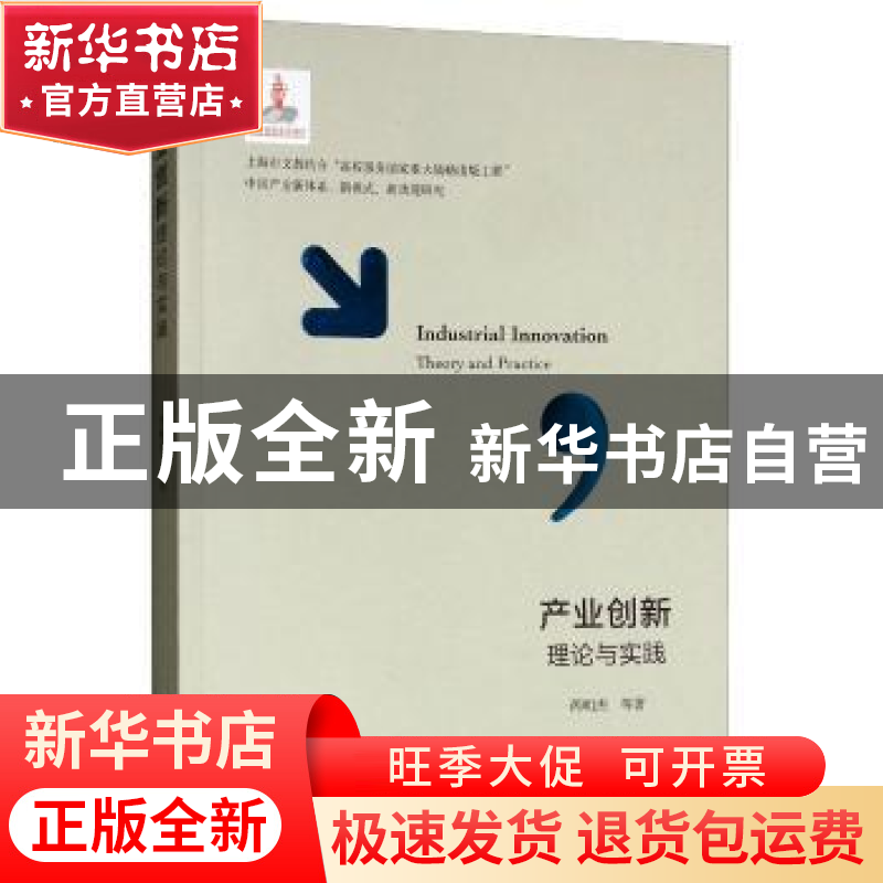 正版 产业创新理论与实践 芮明杰等著 上海财经大学出版社 978756高清大图