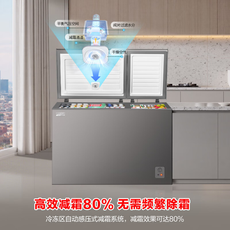 容声(Ronshen)BCD-286E10KNLAD 灰 286升冰柜家用大容量小冷藏大冷冻双温冷柜顶开门卧式冰箱高清大图