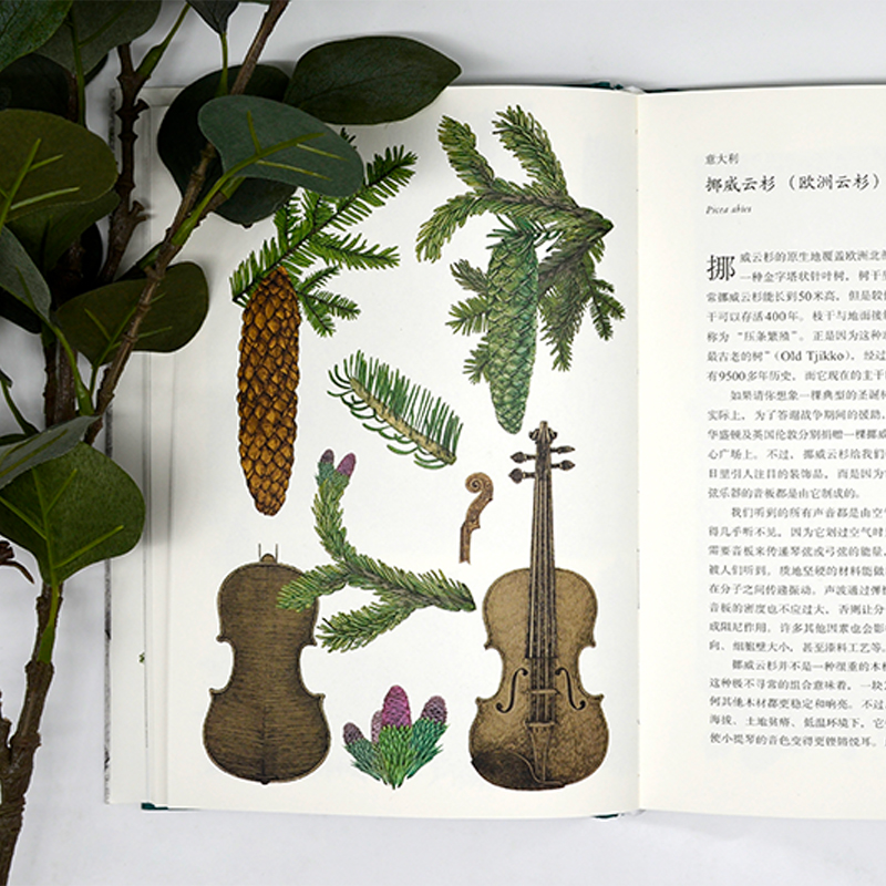 醉染图书环游世界80种树97875680582高清大图