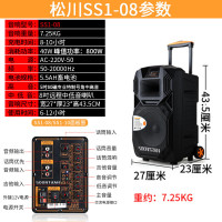 山水(SANSUI)升级松川SS1-08户外移动拉杆广场舞音响家用室外唱歌会议直播K歌大功率无线蓝牙音箱卡拉OK麦克风