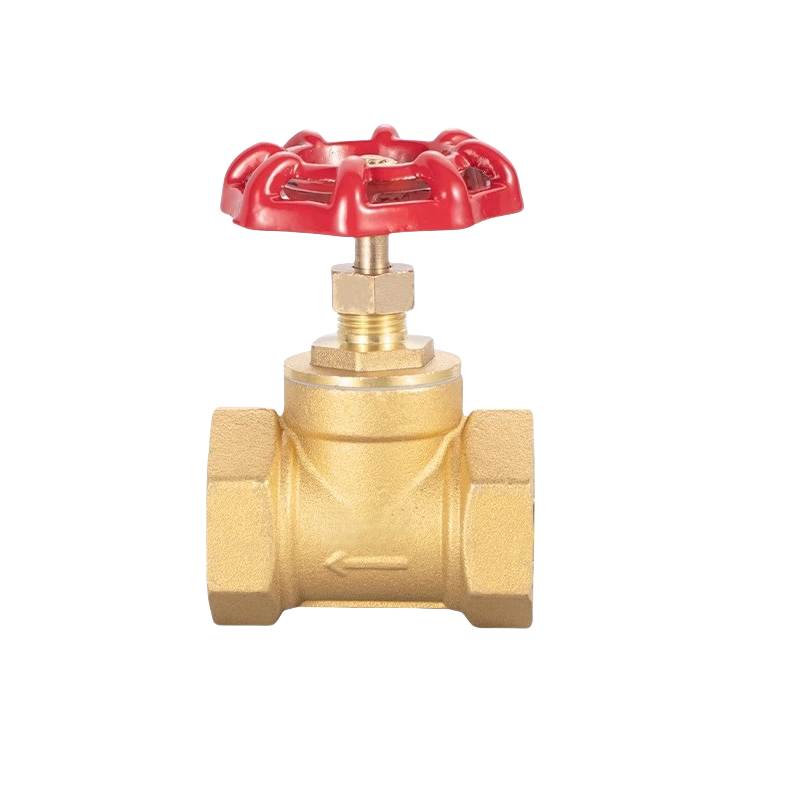 智铮朗月 铜闸阀 DN50 个