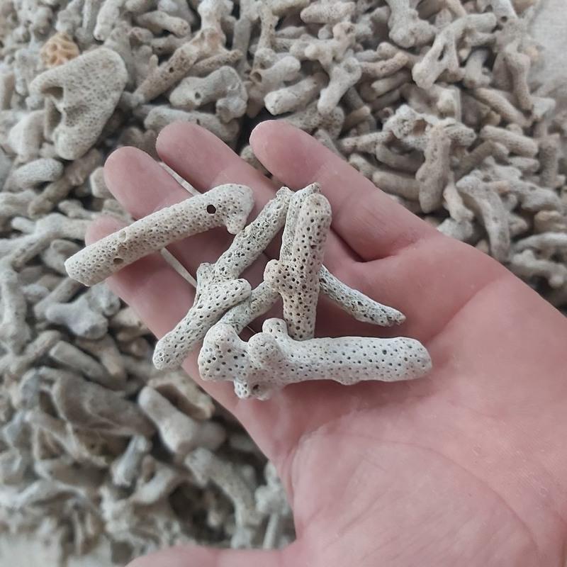 珊瑚骨鱼缸滤材优质珊瑚砂珊瑚石碎珊瑚骨装饰水族造景优质过滤15厘米