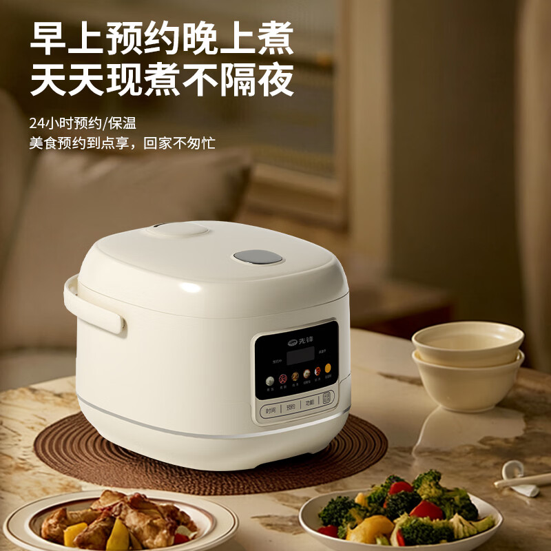 先锋 FD407-2404E智能电饭煲(沥糖电饭煲)高清大图