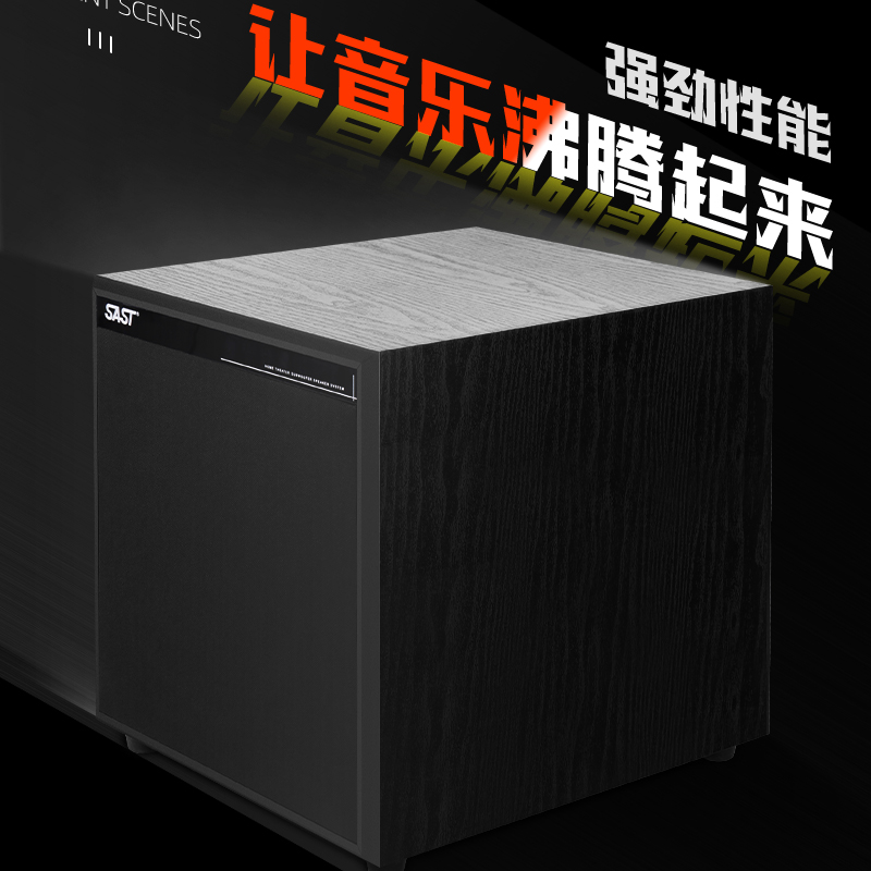 先科(SAST) WD-9 有源低音炮超重低音音箱木质10英寸大功率家庭影院大功率音响高清大图