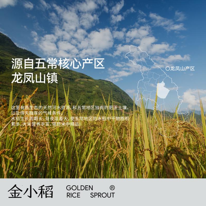 金小稻有机五常大米原粮稻花香2号高端礼盒5kg高清大图