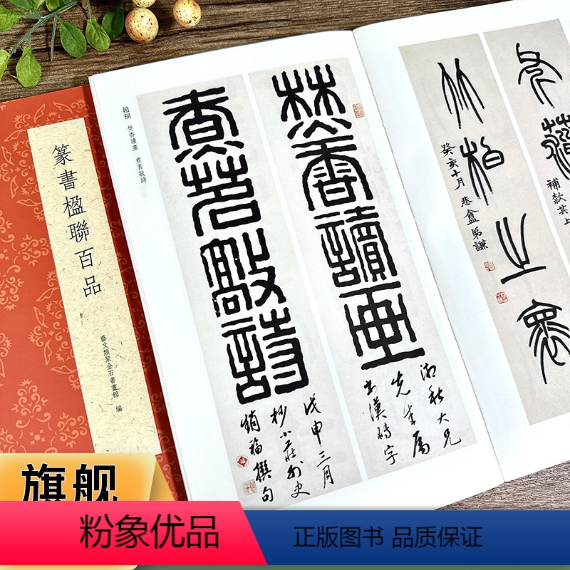 【正版】篆书楹联百品 精选100副名家篆书对联作品集 实用民间文学传统文化春节红白喜事集字春联集锦精粹 毛笔书法篆书练