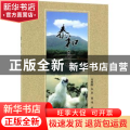 泰和乌鸡