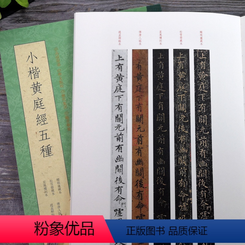 [正版]小楷黄庭经五种 鲽砚庐藏本+唐人临本+星凤楼刻本+赵孟頫藏本 五种版本条陈呈现便于临摹鉴赏教程 王羲之黄庭经楷