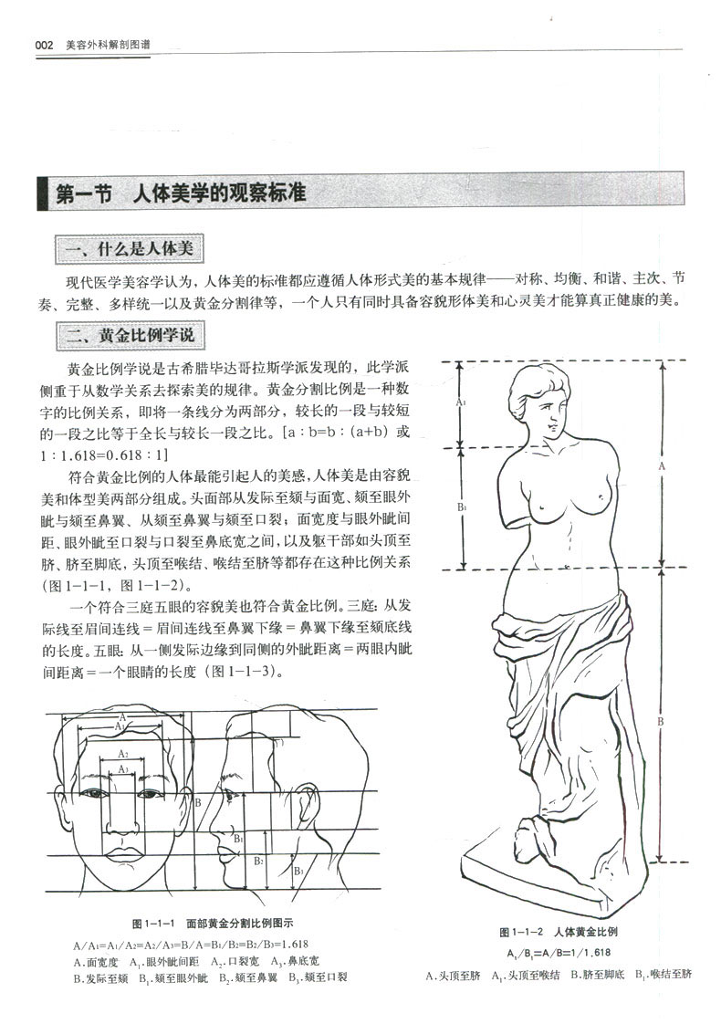 [醉染正版]美容外科解剖图谱 常见美容手术方法步骤 颅颌面及颏颈部解剖 颅颌面手术相关的神经 外科学 外科 整容医学高清大图