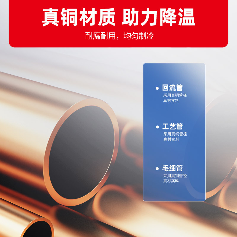 星星(XINGX)963升大两门冷藏商用冰柜厨房冰箱商用麻辣烫展示柜冷藏保鲜冰柜双门点菜柜(铜管制冷)BC-1000YE高清大图
