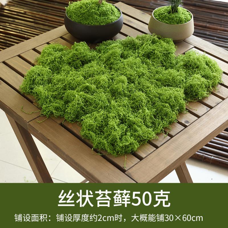 仿真苔藓草皮仿生人造假青苔微景观布置摆件草坪盆景盆栽铺面-丝状苔藓浅绿色50g