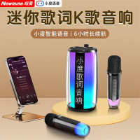纽曼(Newsmy) K19双麦克风蓝牙音响K歌神器一体式内置声卡显示歌词K歌音箱