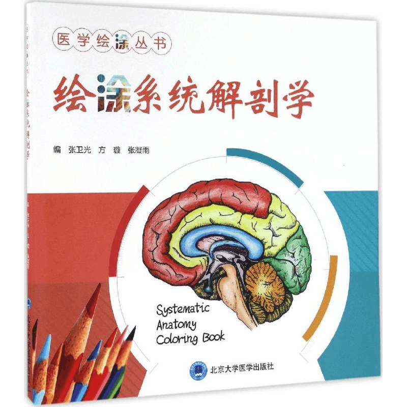 醉染图书绘涂系统解剖学9787565914782图片