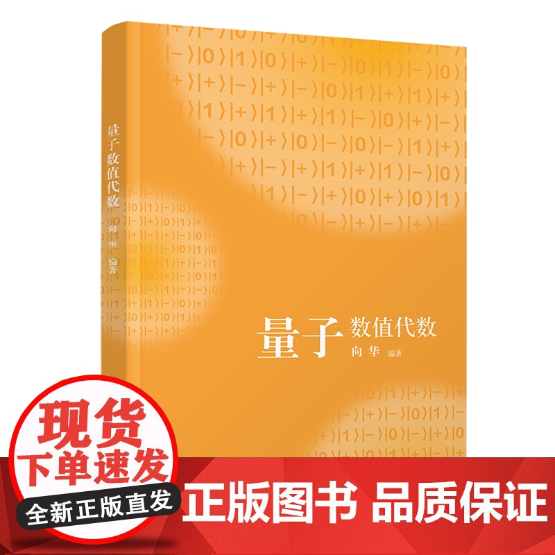 [正版新书] 量子数值代数 向华 清华大学出版社 信息与计算科学数学类教材高清大图
