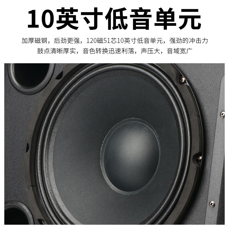 狮乐(SHILE)专业10英寸会议培训室功放音响无线话筒组合 OK555C+BX110+SH10