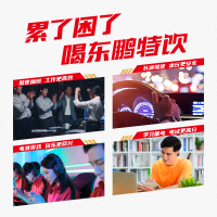 东鹏特饮500ml*15瓶联名款提神抗疲劳维生素功能饮料牛磺酸熬夜加班能量饮品