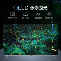 创维（SKYWORTH)55R8U 55英寸 OLED全面屏防护眼功能蓝光4K人工智能液晶平板电视