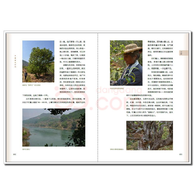正版新书]中国茶山行记陈勇光9787518438181高清大图