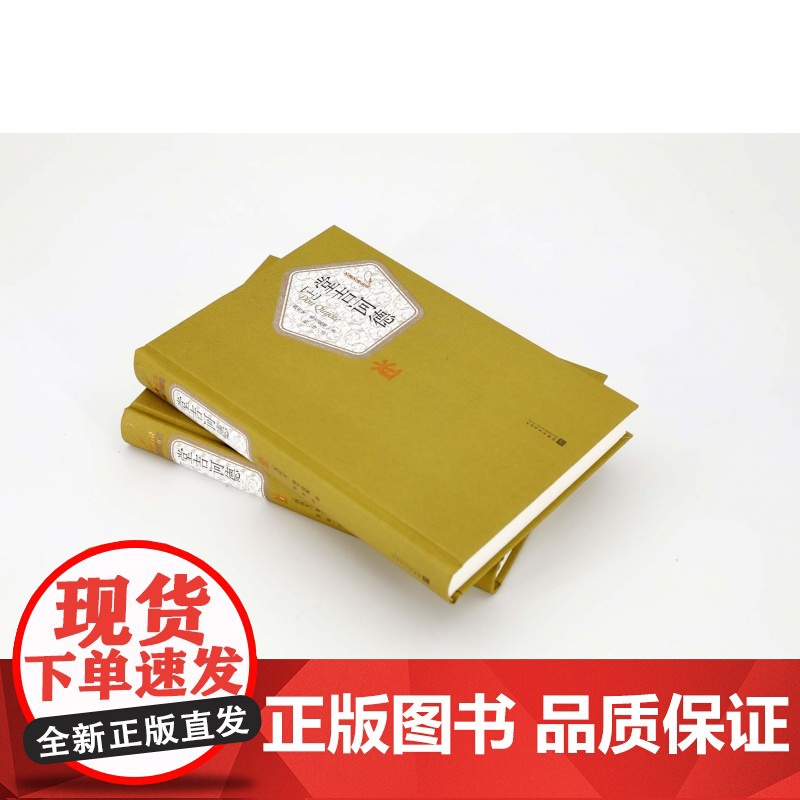 堂吉诃德正版 杨绛译 上下册精装 塞万提斯著人民文学出版社完整版唐吉诃德世界名著外国小说现当代文学文集书籍排行榜高清大图