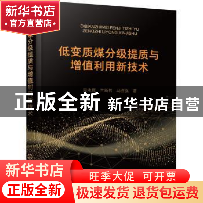 正版 低变质煤分级提质与增值利用新技术 宋永辉 化学工业出版社高清大图