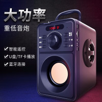 雅兰仕（EARISE） F10户外蓝牙音箱广场舞音响插卡无线低音炮u盘家用手提大功率小型收音机 黑色