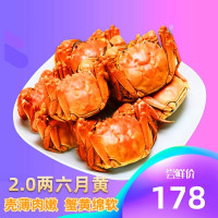 买8只送2只鲜活六月黄大闸蟹2.0两共10只全母蟹鲜活活蟹
