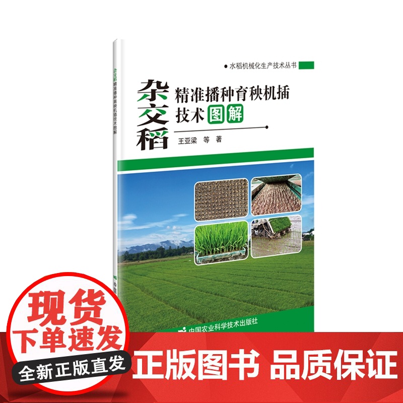 杂交稻精准播种育秧机插技术图解/水稻机械化生产技术丛书 王亚梁 编 9787511663610中国农业科学技术出版社高清大图