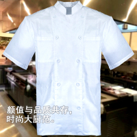 铂识 半袖厨师服 180 件