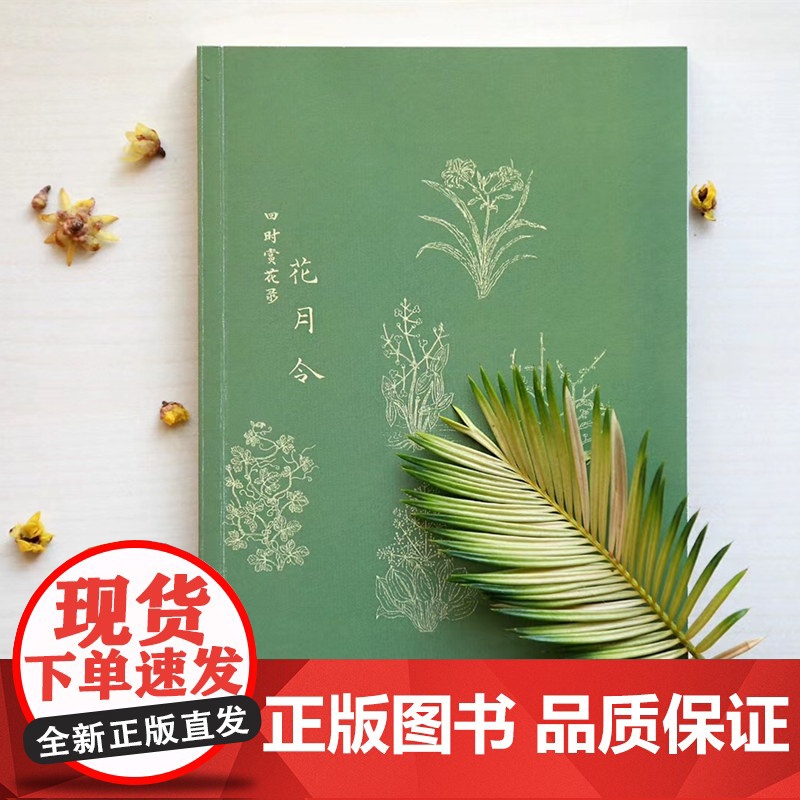 花月令:四时赏花录 人间草木,有情世界,是赏花指南,更是传统文化的入门宝典。高清大图