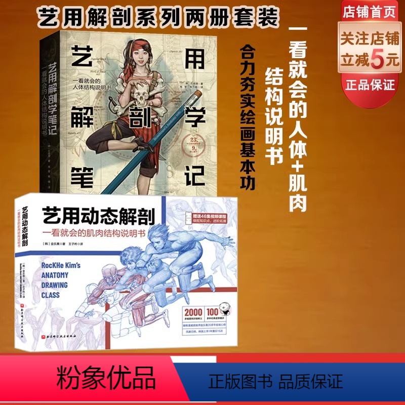 【正版】艺用动态解剖+艺用解剖学笔记 2册 素描绘画教学基础 漫威插画师金乐熹 韩国大触石政贤 伯里曼 人体结构 解剖
