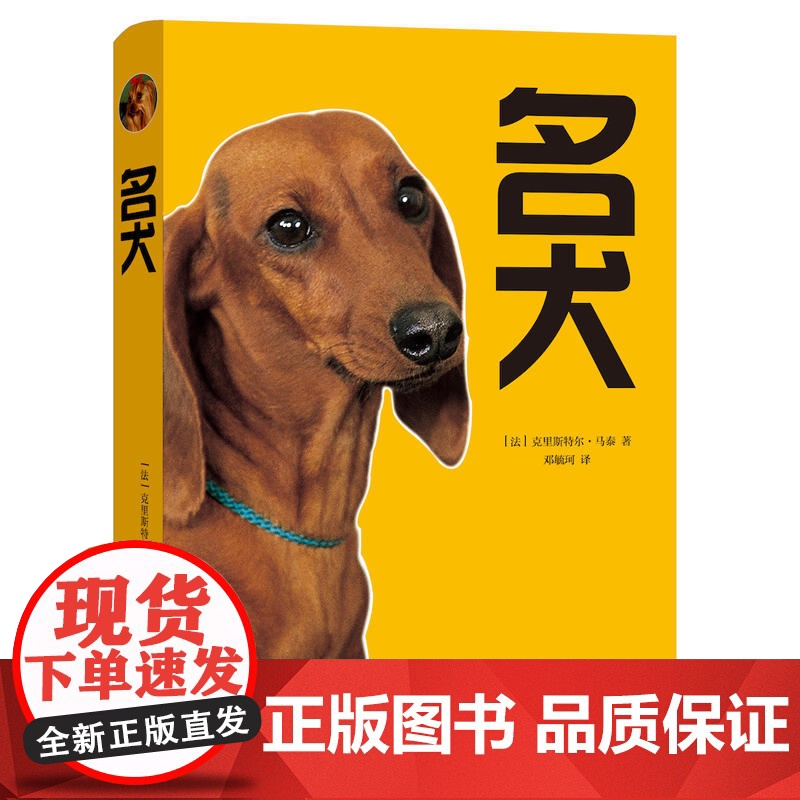 名犬高清大图