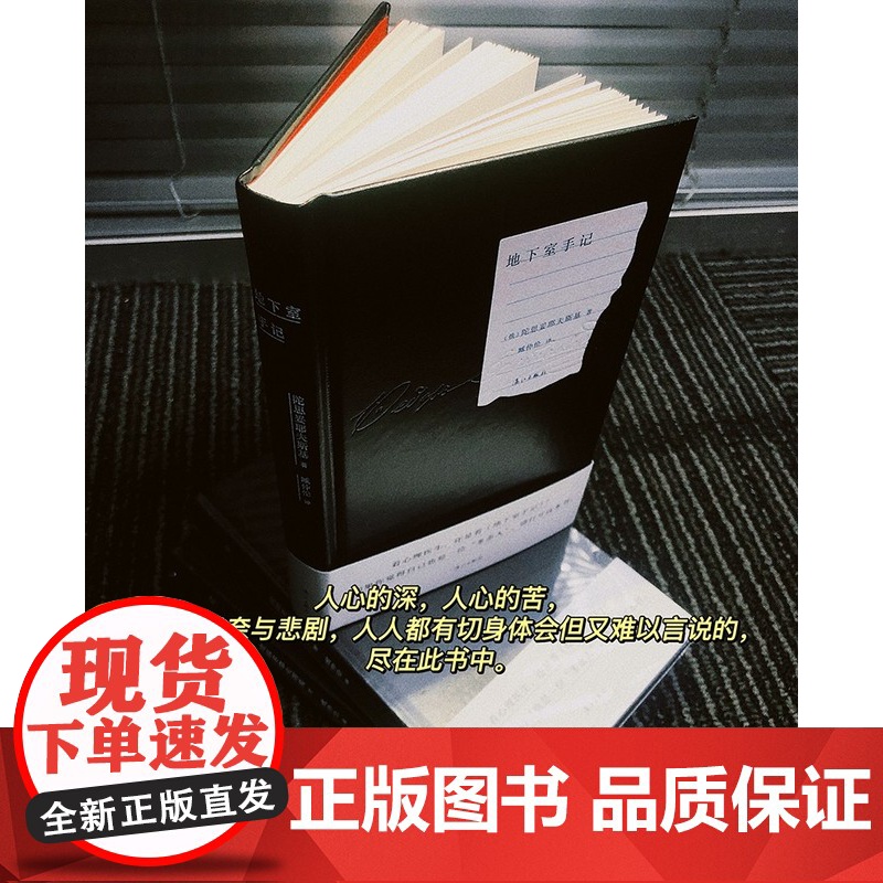地下室手记(精装版)陀思妥耶夫斯基著臧仲伦译俄国的哈姆雷特豆瓣2020读书榜经典类俄罗斯文学经典之作外国小说名著书籍漓江高清大图