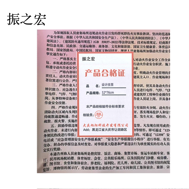 振之宏 设计挂图 52*76CM 块高清大图