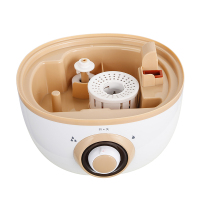 加湿器 RS-V20Q 荣事达家用增湿净化空气空调室内小型喷雾器(单位:个)
