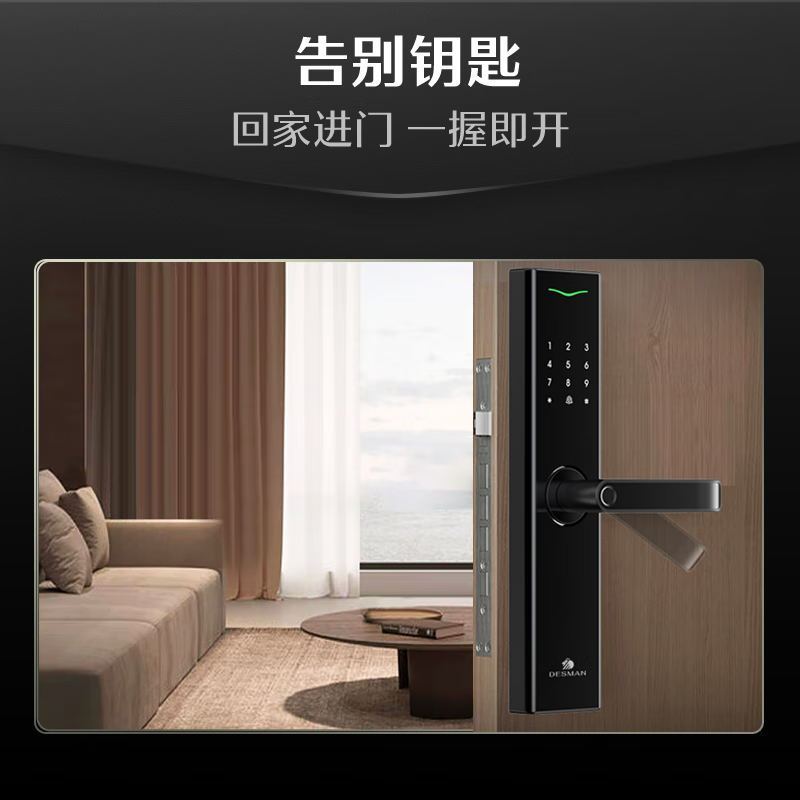 德施曼(DESMAN) 小嘀Q3E智能门锁全自动指纹锁密码锁2024年新品高清大图