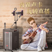 万利达(malata)M+9816广场舞音响蓝牙音箱低音炮户外直播音响带声卡无线扩音器舞台大音量网红声卡直播音响