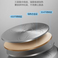 爱仕达 汤锅 304不锈钢20cm 炖汤/煲汤火锅小 厚底电磁炉燃气通用 GL1720B