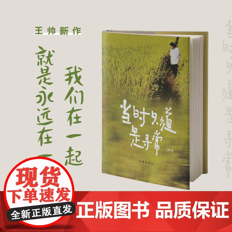 当时只道是寻常 王帅新作 岁月漫长然而值得等待 真正热爱生活 治愈焦虑的良药