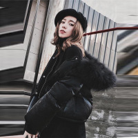佐露絲RALOS佐露絲RALOS 2020新款丝绒短款羽绒服女韩版冬装修身显瘦大毛领连帽加厚外套潮