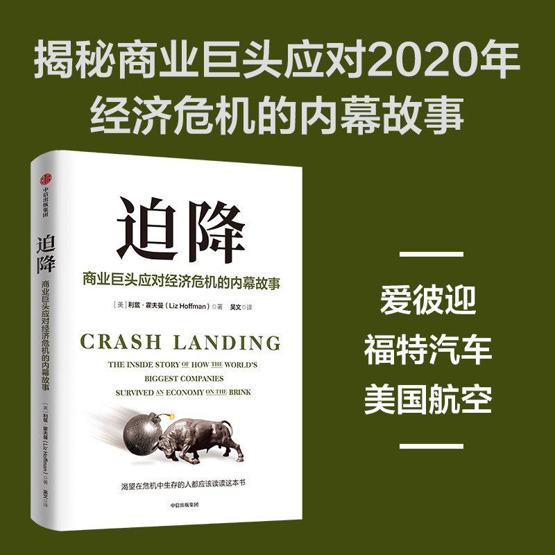 迫降:商业巨头应对经济危机的内幕故事 [正版]迫降 商业巨头应对经济危机的内幕故事 利兹 霍夫曼著 渴望在危机中生存的人高清大图