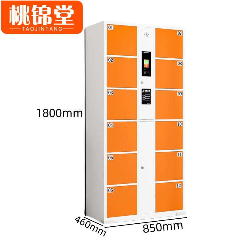 桃锦堂智能寄存柜 存包柜12门台
