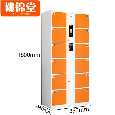 桃锦堂智能寄存柜 存包柜12门台