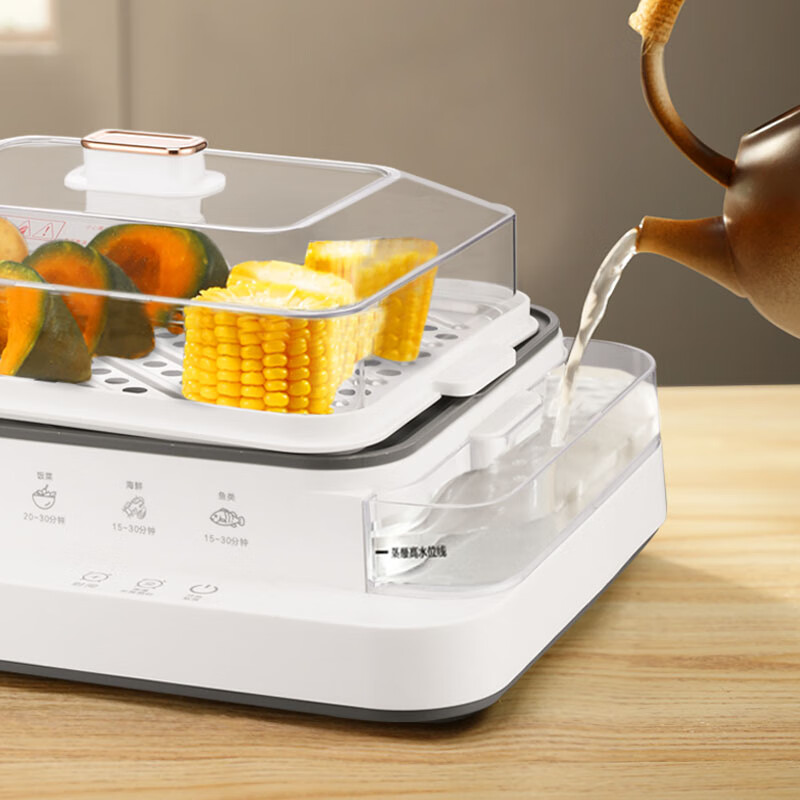 荣事达(Royalstar)多功能电蒸锅外置加水电蒸笼18升大容量多用途锅 RS-ZG833G高清大图