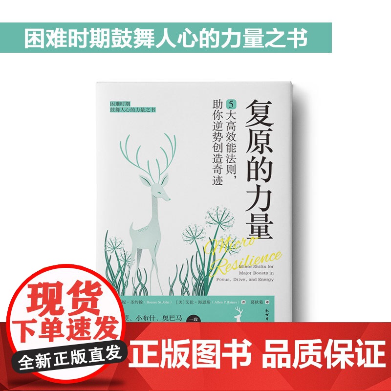 复原的力量 : 5大高效能法 邦妮·圣约翰, 艾伦·海恩斯, 葛秋菊 译,中资海派出品 新世界出版社 正版书籍高清大图