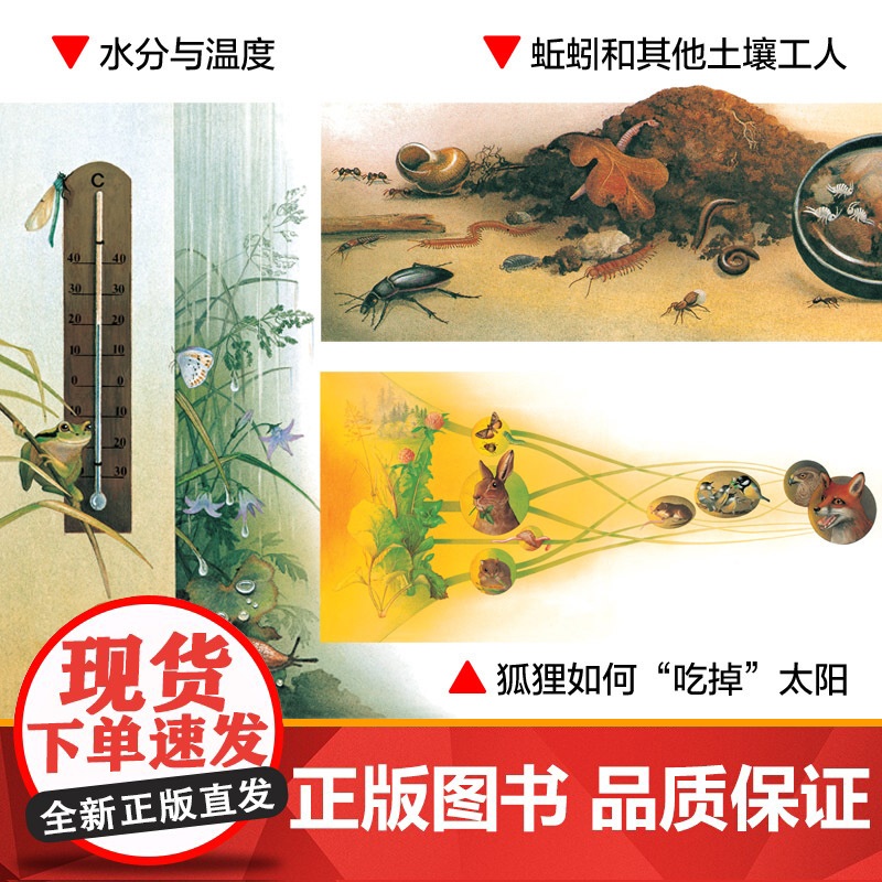 最美的科普第一辑全套6册系列四季时钟草地时钟大地时钟蝴蝶树木花的时钟乌纳雅各布绘本小学生三四年级课外书籍9-12岁耕林童高清大图