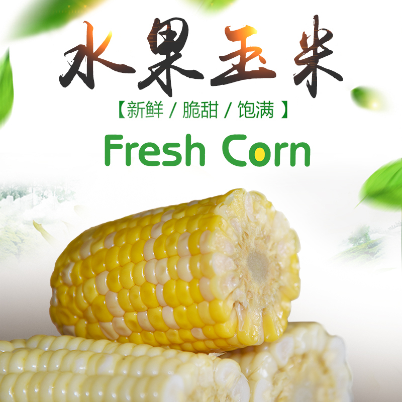 [江苏扶贫][财政集采][睢宁] 双溪翠黄甜水果玉米 50根装高清大图