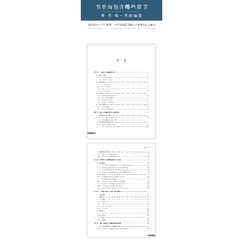 正版新书]饮用水安全保障中长期科技发展战略水专项饮用水安全保高清大图