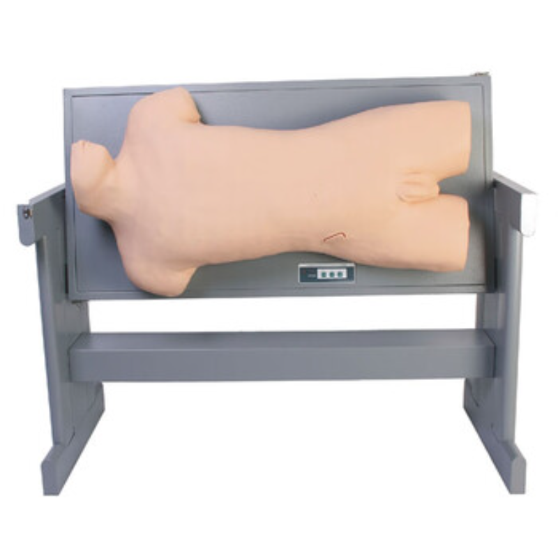 康堰 SKY-CK813 腹腔穿刺模型/腹部移动性浊叩诊与腹腔穿刺训练模拟人